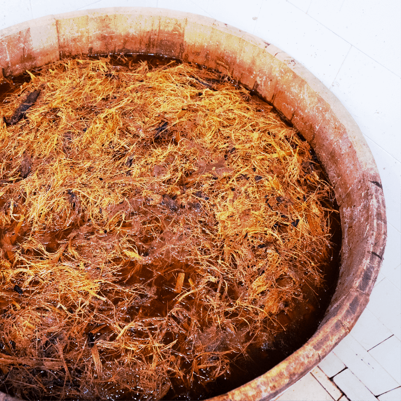 FERMENTATION